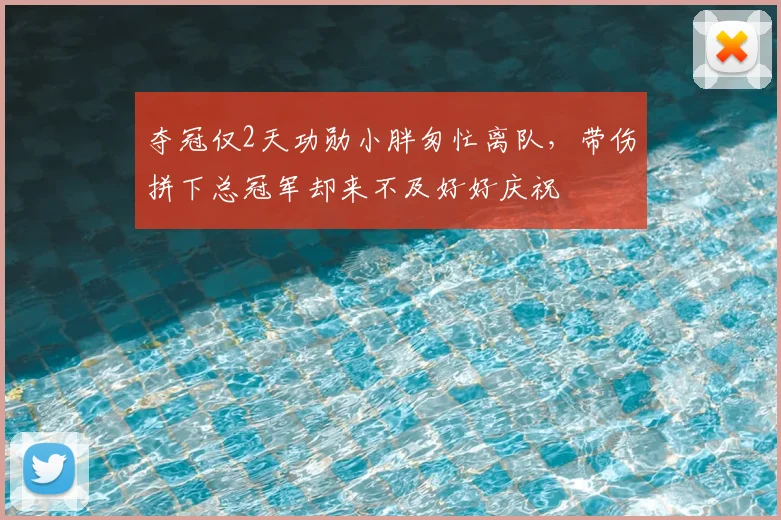 夺冠仅2天功勋小胖匆忙离队,带伤拼下总冠军却来不及好好庆祝