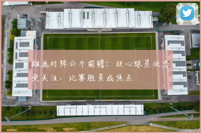 雄鹿对阵公牛前瞻：核心球员状态受关注，比赛胜负成焦点